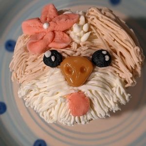 Meet your Posher, Marsha